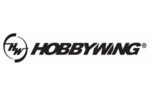 Hobbywing 1